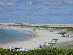 Photo of 4WD vehicles on beach at Dark Point in Myall Lakes National Park Photo of 4WD vehicles on beach at Dark Point in Myall Lakes National Park