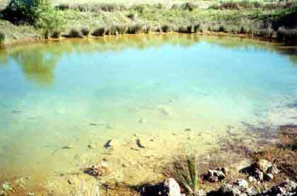 This pond in southeast Queensland is typical of acid sulfate soil disturbance. The blue-green colour and clarity is an indicator of the presence of aluminium. This pond in southeast Queensland is typical of acid sulfate soil disturbance. The blue-green colour and clarity is an indicator of the presence of aluminium.