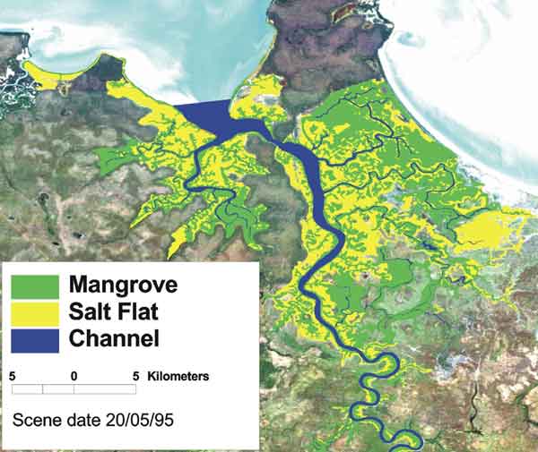 Figure of the mangrove areas in the Adelaide River, NT Figure of the mangrove areas in the Adelaide River, NT