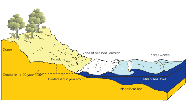 Cross-section of a sandy beach showing the significant difference in the volume of sediment eroded in high-magnitude storms (1:100 year) compared to seasonal erosional events Cross-section of a sandy beach showing the significant difference in the volume of sediment eroded in high-magnitude storms (1:100 year) compared to seasonal erosional events
