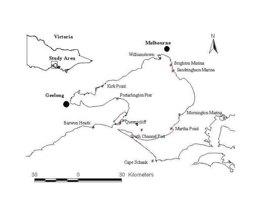 Figure of the sampling sites for Thais orbita in and adjacent to Port Phillip Bay, Victoria, Australia