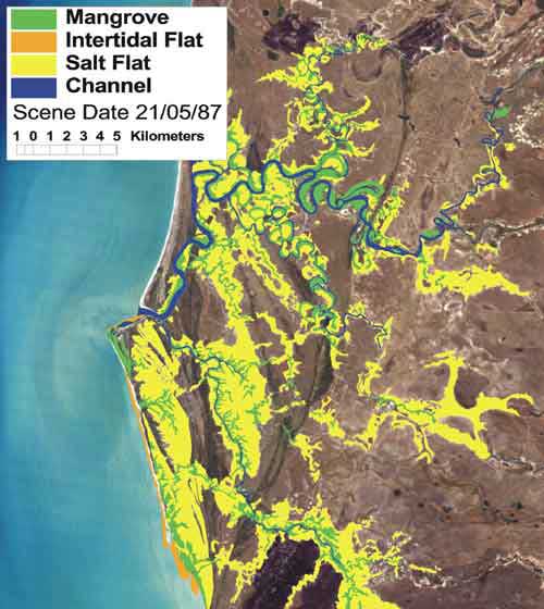 Figure of saltmarsh+saltfalt areas in the Nassau River, QLD Figure of saltmarsh+saltfalt areas in the Nassau River, QLD