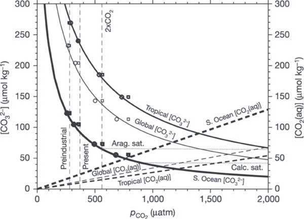 Shown are both CO32- concentration (solid lines) and dissolved CO2 concentration (dashed lines) for average surface waters in the tropical ocean (thick lines), the Southern Ocean (thickest lines) and the global ocean (thin lines) Shown are both CO32- concentration (solid lines) and dissolved CO2 concentration (dashed lines) for average surface waters in the tropical ocean (thick lines), the Southern Ocean (thickest lines) and the global ocean (thin lines)