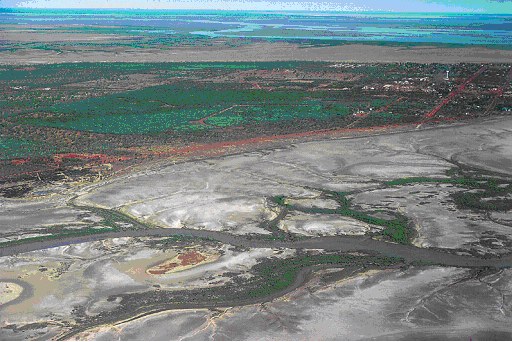 Photo of Saltflat environments on supra-tidal flats of King Sound near Derby (photo by Norm Duke). Photo of Saltflat environments on supra-tidal flats of King Sound near Derby (photo by Norm Duke).