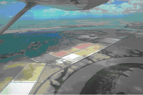 image of a saltmarsh area image of a saltmarsh area