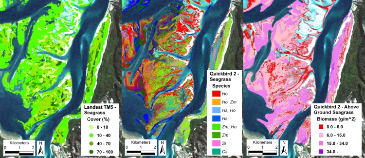 Figure of benthic substrate classification in Wallis Lake, NSW