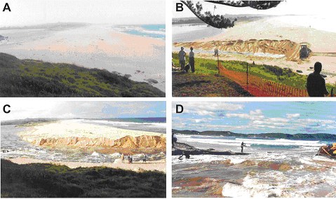 Photo showing Entrance of Coila Lake, NSW, before (a), during (b) and 1 day after (c) being manually opened by bulldozer (WBM Pty Ltd, April 2002). Entrance of Wilson Inlet, Western Australia (d), in the process of being manually opened by bulldozer. Photo showing Entrance of Coila Lake, NSW, before (a), during (b) and 1 day after (c) being manually opened by bulldozer (WBM Pty Ltd, April 2002). Entrance of Wilson Inlet, Western Australia (d), in the process of being manually opened by bulldozer.